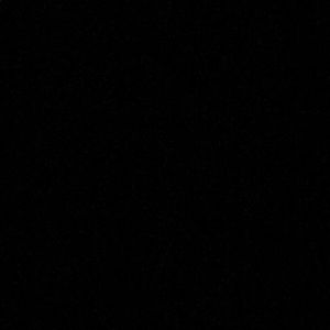 Meet your Posher, Gizzette